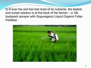 5) If ever the soil has lost most of its nutrients, the fastest
and surest solution is at the back of the farmer – a 16L
backpack sprayer with Gopureganic Liquid Organic Foliar
Fertilizer.
80
 
