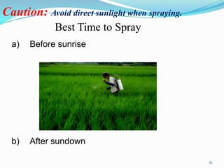 Best Time to Spray
Caution: Avoid direct sunlight when spraying.
a) Before sunrise
b) After sundown
81
 