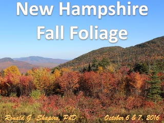 New Hampshire Fall Foliage 2016