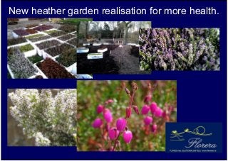 New heather garden realisation for more health.

 