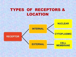 RECEPTOR
INTERNAL
NUCLEAR
CYTOPLASMIC
EXTERNAL
CELL
MEMBRANE
TYPES OF RECEPTORS &
LOCATION
 