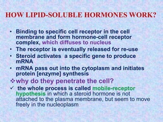 • Binding to specific cell receptor in the cell
membrane and form hormone-cell receptor
complex, which diffuses to nucleus
• The receptor is eventually released for re-use
• Steroid activates a specific gene to produce
mRNA
• mRNA pass out into the cytoplasm and initiates
protein [enzyme] synthesis
why do they penetrate the cell?
 the whole process is called mobile-receptor
hypothesis in which a steroid hormone is not
attached to the plasma membrane, but seem to move
freely in the nucleoplasm
HOW LIPID-SOLUBLE HORMONES WORK?
 