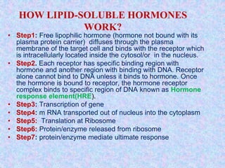 • Step1: Free lipophilic hormone (hormone not bound with its
plasma protein carrier) diffuses through the plasma
membrane of the target cell and binds with the receptor which
is intracellularly located inside the cytosol/or in the nucleus.
• Step2. Each receptor has specific binding region with
hormone and another region with binding with DNA. Receptor
alone cannot bind to DNA unless it binds to hormone. Once
the hormone is bound to receptor, the hormone receptor
complex binds to specific region of DNA known as Hormone
response element(HRE).
• Step3: Transcription of gene
• Step4: m RNA transported out of nucleus into the cytoplasm
• Step5: Translation at Ribosome
• Step6: Protein/enzyme released from ribosome
• Step7: protein/enzyme mediate ultimate response
HOW LIPID-SOLUBLE HORMONES
WORK?
 