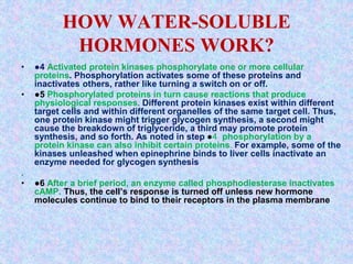 HOW WATER-SOLUBLE
HORMONES WORK?
• ●4 Activated protein kinases phosphorylate one or more cellular
proteins. Phosphorylation activates some of these proteins and
inactivates others, rather like turning a switch on or off.
• ●5 Phosphorylated proteins in turn cause reactions that produce
physiological responses. Different protein kinases exist within different
target cells and within different organelles of the same target cell. Thus,
one protein kinase might trigger glycogen synthesis, a second might
cause the breakdown of triglyceride, a third may promote protein
synthesis, and so forth. As noted in step ●4 phosphorylation by a
protein kinase can also inhibit certain proteins. For example, some of the
kinases unleashed when epinephrine binds to liver cells inactivate an
enzyme needed for glycogen synthesis
.
• ●6 After a brief period, an enzyme called phosphodiesterase inactivates
cAMP. Thus, the cell’s response is turned off unless new hormone
molecules continue to bind to their receptors in the plasma membrane
 