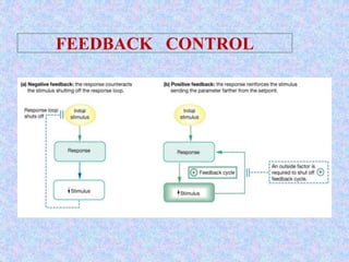 FEEDBACK CONTROL
 