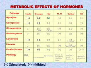 Pathways Insulin Glucagon Epi T3, T4 Cortisol GH
Glycolysis
Glycogenesis
Glycogenolysis
Gluconeogenesis
Lipogenesis
Lipolysis
Protein Synthesis
Pathology
(+)
(+)
(+)
(+)
(-)
(-)
(-)
(-)
(-)
(-)
(-)
(+)
(+)
(+)
(+)
(-)
(-)
(-)
(+)
(+)
(+)
(+)
(-)
(-)
(+)
(+)
(+)
(+)
(-)
(+)
(+)
(+)
(-)
(+)
(+)
(-)
(+)
(-)
(++)
(+)
(+)
(+)
“central”
“peripheral”
“Liver” “L & M”
DM,
Glucagonoma
Parkinson’s
Grave’s D.
Myxedema
Cretinism
Goiter
Cushing’s
Conn’s
Addison’s
Dwarfism
Gigantism
METABOLIC EFFECTS OF HORMONES
(+) Stimulated; (-) Inhibited
 