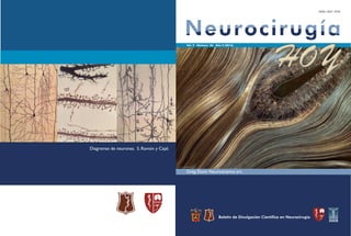 Vol. 9 Número 26 Año 9 (2016)
HOY
Greg Dunn Neuroscience art.
Diagramas de neuronas. S. Ramón y Cajal.
 