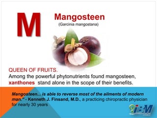 M
Mangosteen
(Garcinia mangostana)
QUEEN OF FRUITS.
Among the powerful phytonutrients found mangosteen,
xanthones stand alone in the scope of their benefits.
Mangosteen... is able to reverse most of the ailments of modern
man.“ - Kenneth J. Finsand, M.D., a practicing chiropractic physician
for nearly 30 years
 