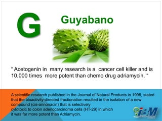 G Guyabano
“ Acetogenin in many research is a cancer cell killer and is
10,000 times more potent than chemo drug adriamycin. “
A scientific research published in the Journal of Natural Products in 1996, stated
that the bioactivity-directed fractionation resulted in the isolation of a new
compound (cis-annonacin) that is selectively
cytotoxic to colon adenocarcinoma cells (HT-29) in which
it was far more potent than Adriamycin.
 