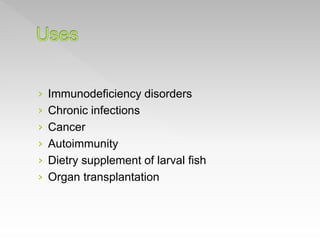 › Immunodeficiency disorders
› Chronic infections
› Cancer
› Autoimmunity
› Dietry supplement of larval fish
› Organ transplantation
 