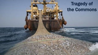 Tragedy of
the Commons
 