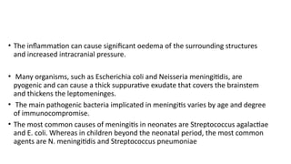 Comprehensive Overview of Meningitis and Encephalitis: Causes ...