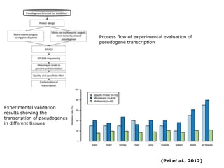 New insights into the human genome by ENCODE project | PPTX