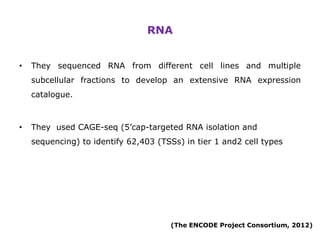 New insights into the human genome by ENCODE project | PPTX