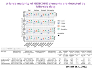 New insights into the human genome by ENCODE project | PPTX