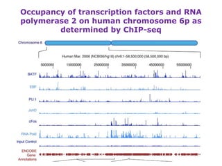 New insights into the human genome by ENCODE project | PPTX