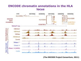 New insights into the human genome by ENCODE project | PPTX