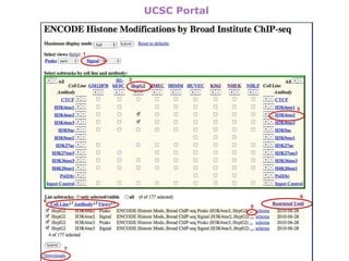 New insights into the human genome by ENCODE project | PPTX