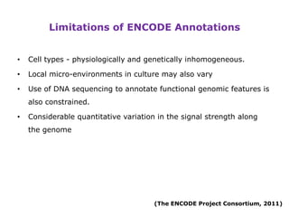 New insights into the human genome by ENCODE project | PPTX