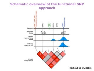 New insights into the human genome by ENCODE project | PPTX