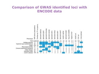 New insights into the human genome by ENCODE project | PPTX