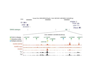 New insights into the human genome by ENCODE project | PPTX