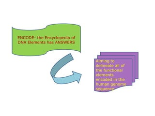 New insights into the human genome by ENCODE project | PPTX