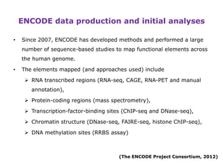 New insights into the human genome by encode 14.12.12