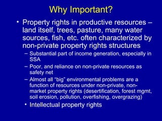 Why Important? Property rights in productive resources – land itself, trees, pasture, many water sources, fish, etc. often characterized by non-private property rights structures Substantial part of income generation, especially in SSA Poor, and reliance on non-private resources as safety net Almost all “big” environmental problems are a function of resources under non-private, non-market property rights (desertification, forest mgmt, soil erosion, pollution, overfishing, overgrazing) Intellectual property rights 