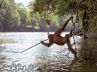 خوانده شده ها