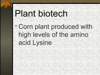 Plant biotech
 Corn plant produced with
 high levels of the amino
 acid Lysine
 