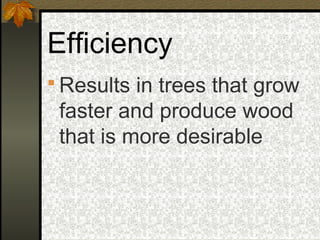 Efficiency
 Results in trees that grow
 faster and produce wood
 that is more desirable
 