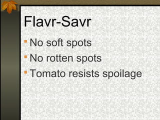 Flavr-Savr
 No soft spots
 No rotten spots
 Tomato resists spoilage
 