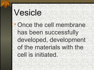 Vesicle
 Once the cell membrane
 has been successfully
 developed, development
 of the materials with the
 cell is initiated.
 