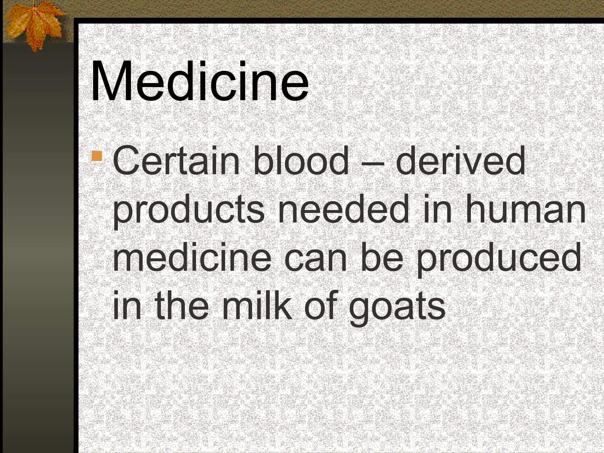 Medicine
 Certain blood – derived
products needed in human
medicine can be produced
in the milk of goats
 