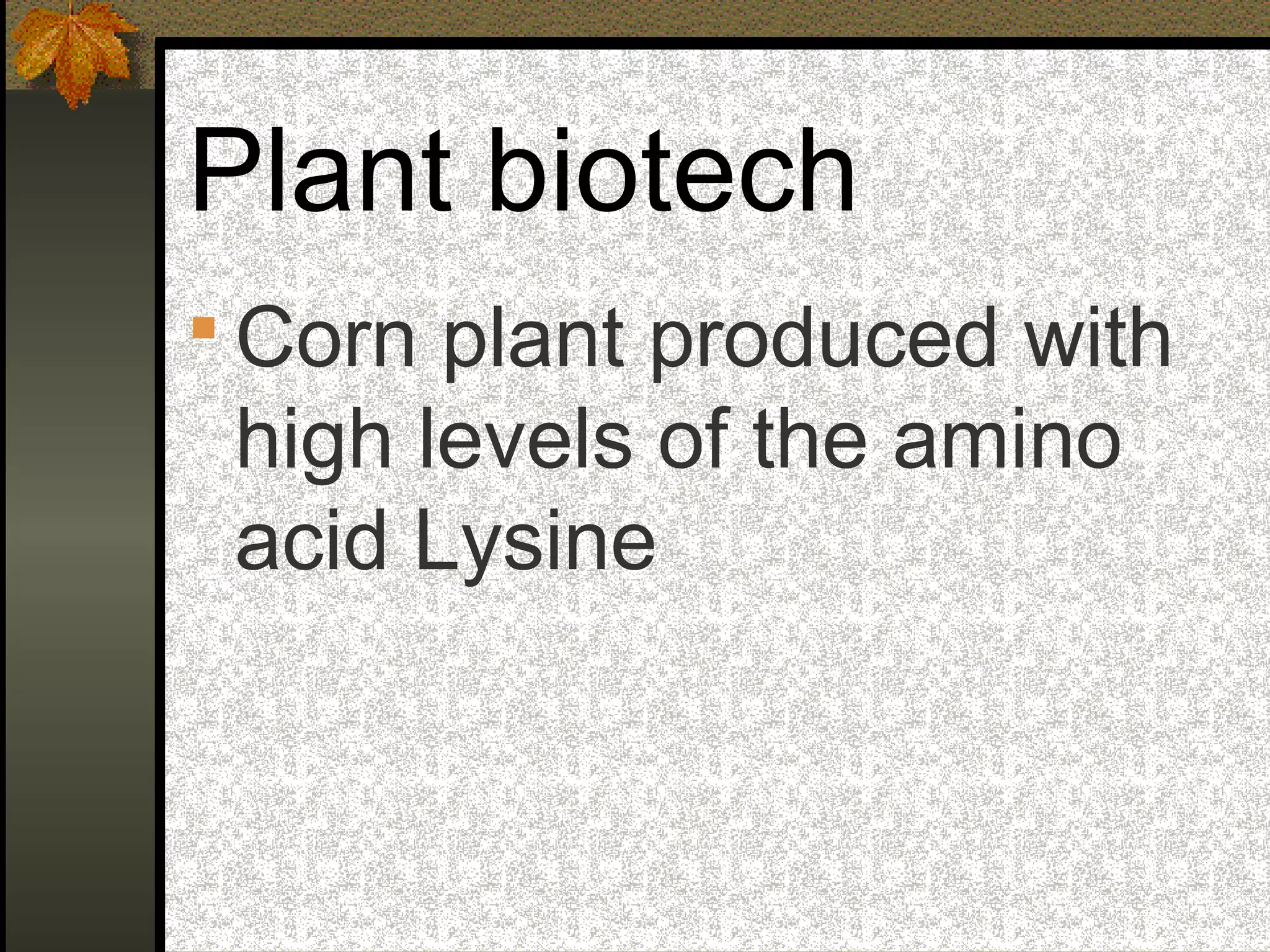 Plant biotech
 Corn plant produced with
high levels of the amino
acid Lysine
 