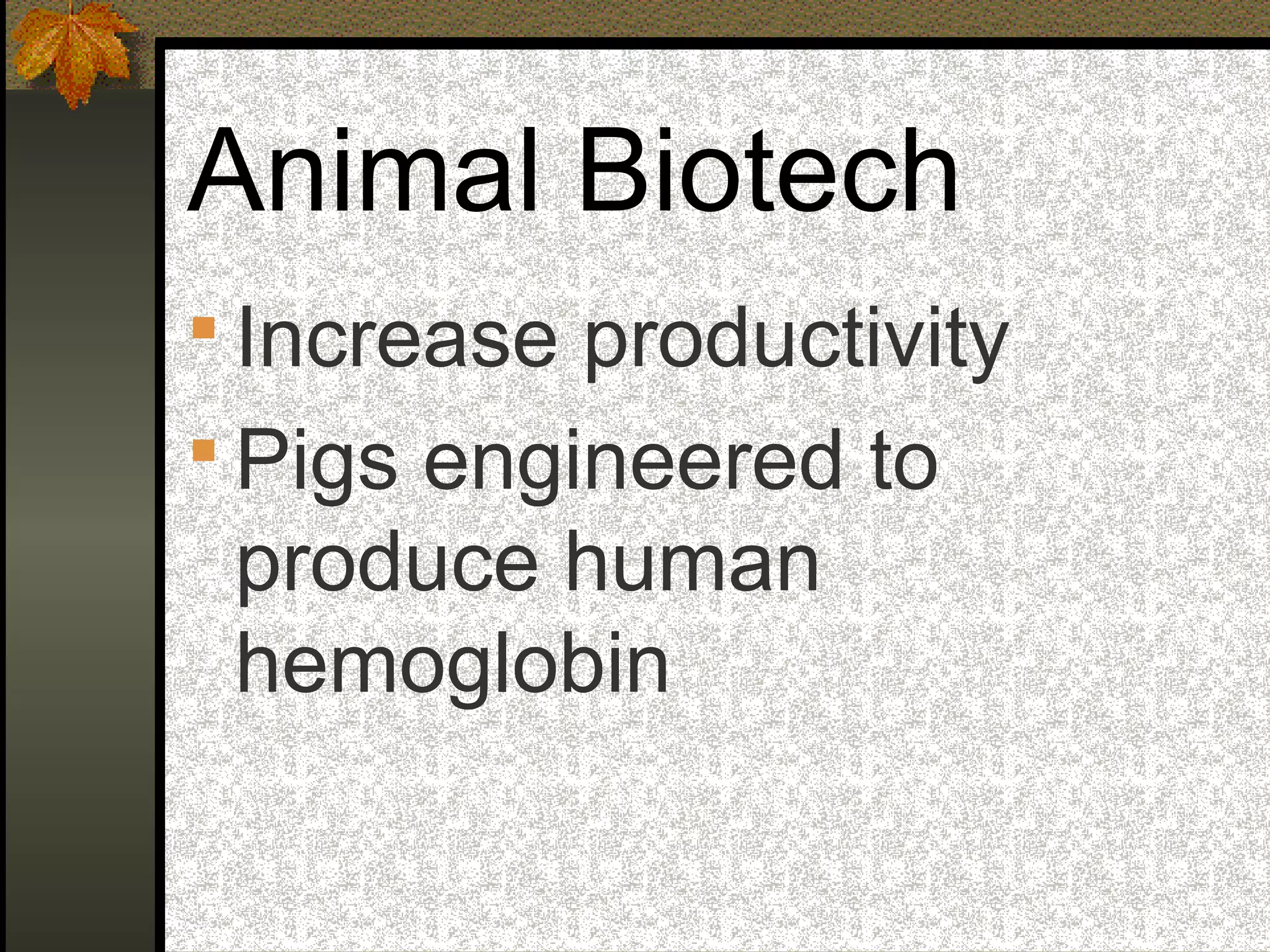 Animal Biotech
 Increase productivity
 Pigs engineered to
produce human
hemoglobin
 