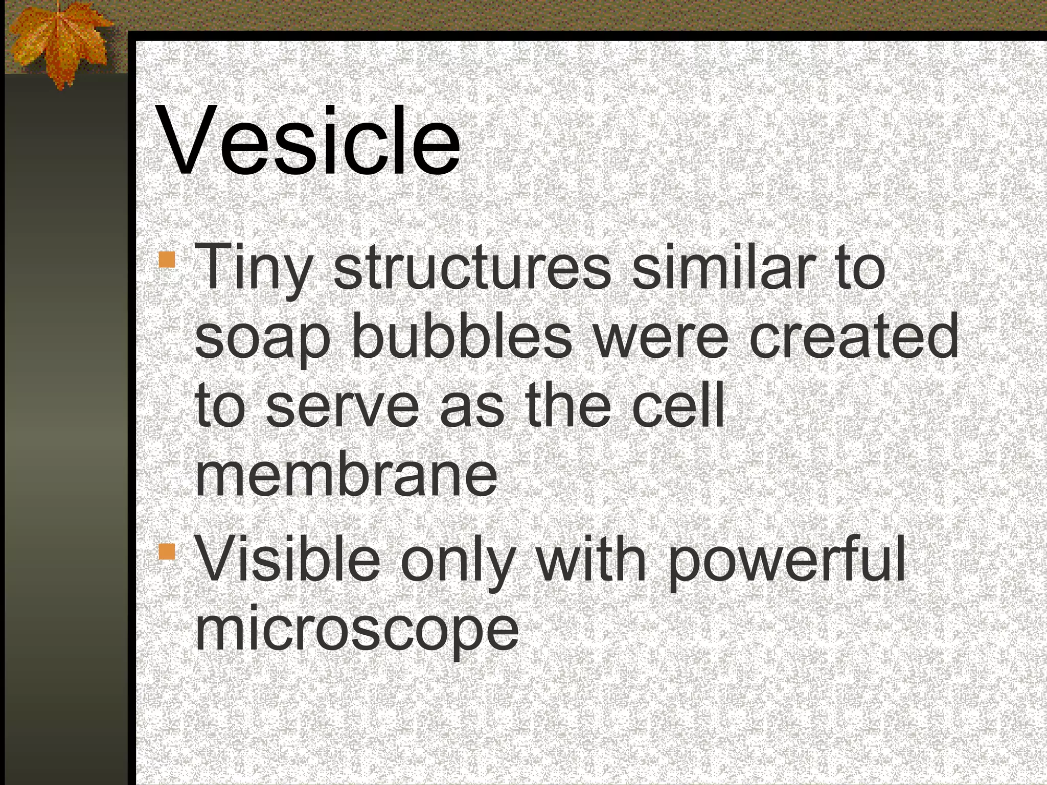 Vesicle
 Tiny structures similar to
soap bubbles were created
to serve as the cell
membrane
 Visible only with powerful
microscope
 