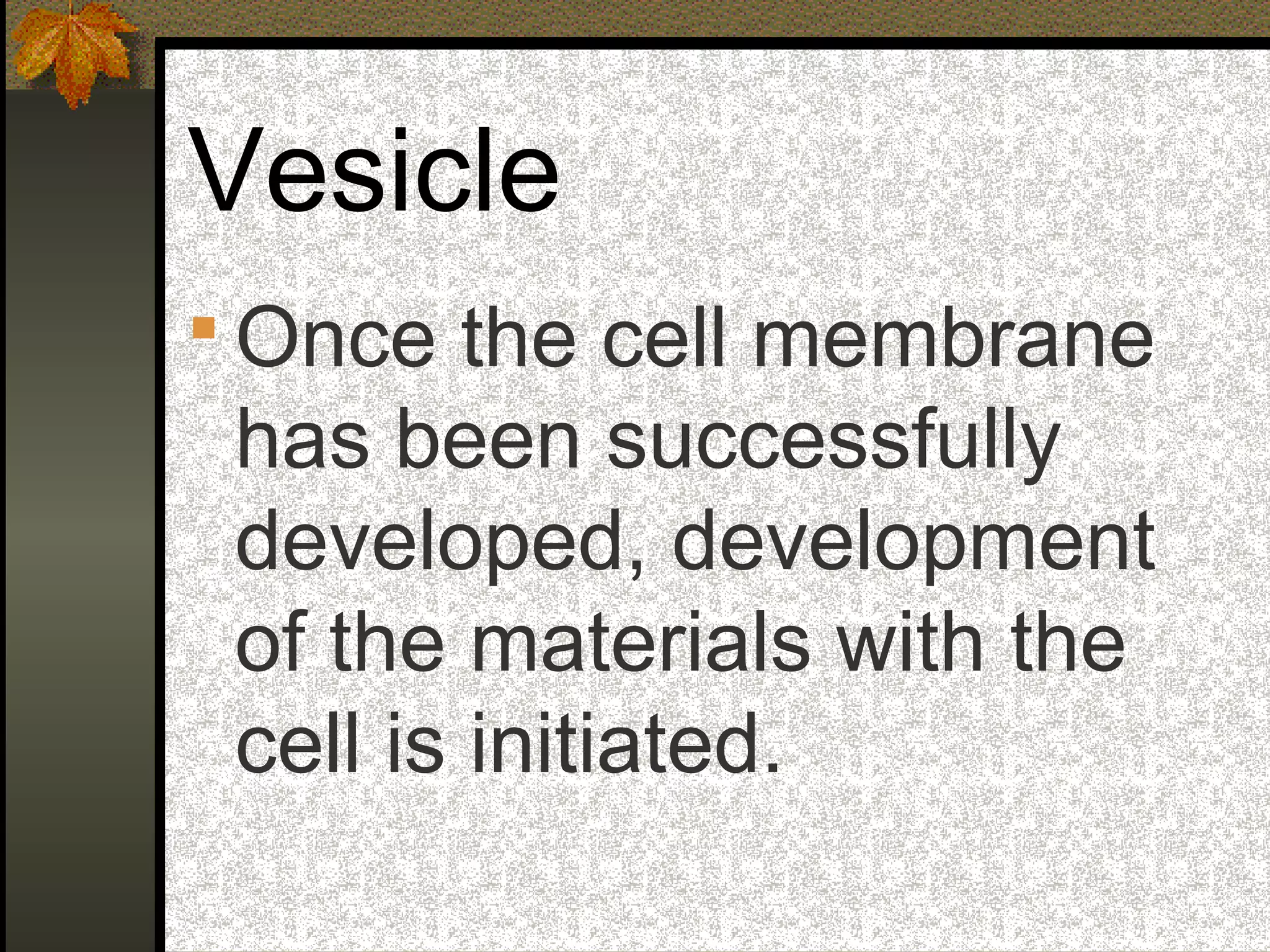 Vesicle
 Once the cell membrane
has been successfully
developed, development
of the materials with the
cell is initiated.
 