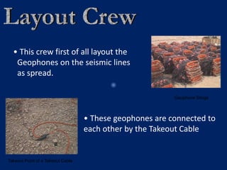 Geophone Stings
Takeout Point of a Takeout Cable
• This crew first of all layout the
Geophones on the seismic lines
as spread.
• These geophones are connected to
each other by the Takeout Cable
 