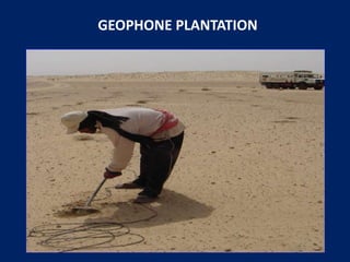 GEOPHONE PLANTATION
 
