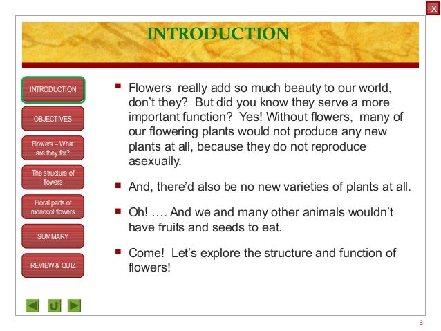 Flower Parts And Functions Chart