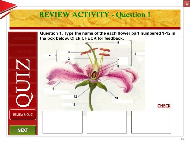 Integrated Science M3 Flower Structure