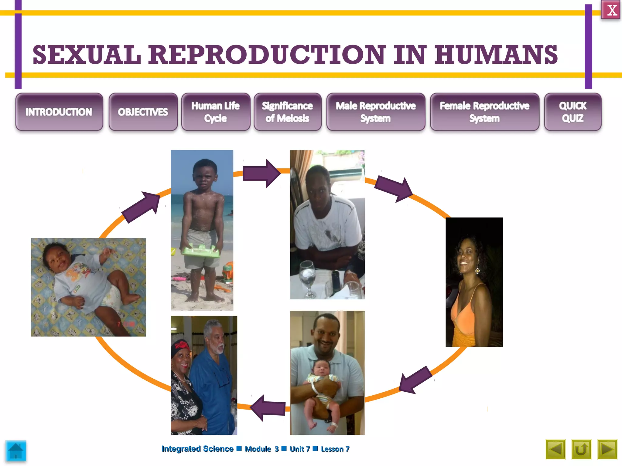 Integrated Science M3 Sexual Reproduction in Humans | PPT