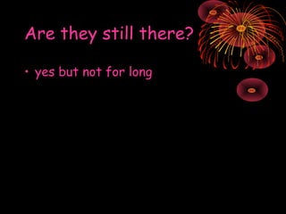 Are they still there?
• yes but not for long

 