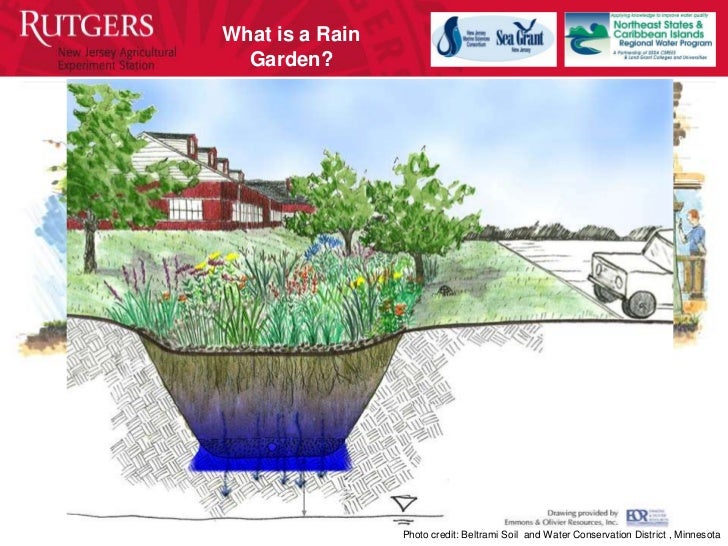 New Jersey Rain Gardens for Beginners Manual