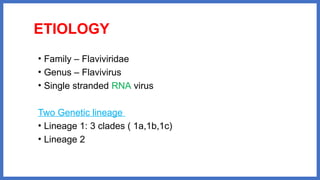 ETIOLOGY
• Family – Flaviviridae
• Genus – Flavivirus
• Single stranded RNA virus
Two Genetic lineage
• Lineage 1: 3 clades ( 1a,1b,1c)
• Lineage 2
 