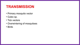 TRANSMISSION
• Primary mosquito vector
• Culex sp.
• Tick vectors
• Overwintering of mosquitoes
• Birds
 