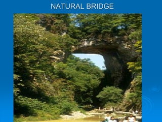 NATURAL BRIDGE
 