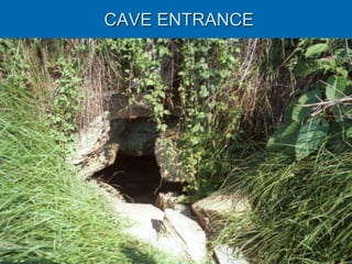 CAVE ENTRANCE
 